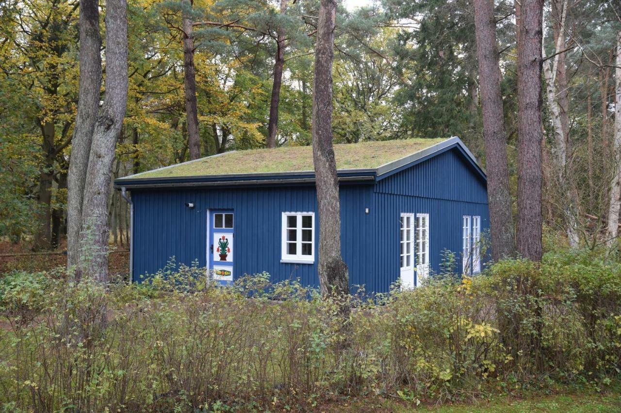 chalet Ostseeheilbad Zingst Exterior foto